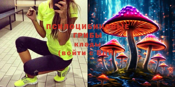 гашик Богданович