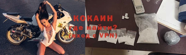 гашик Богданович