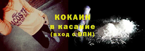 гашик Богданович