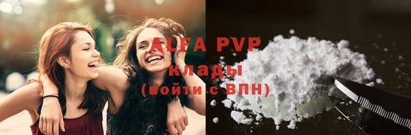 гашик Богданович