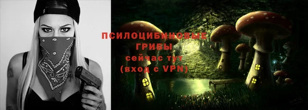 спайс Богородицк