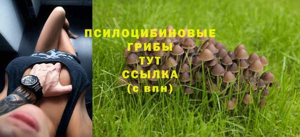 гашик Богданович
