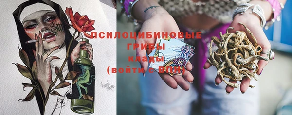 прущий лед Богородск