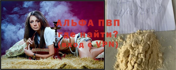 гашик Богданович