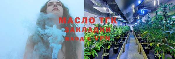 гашик Богданович