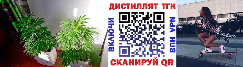 Дистиллят ТГК гашишное масло Балаково