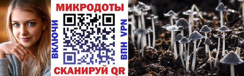 Псилоцибиновые грибы прущие грибы Балаково